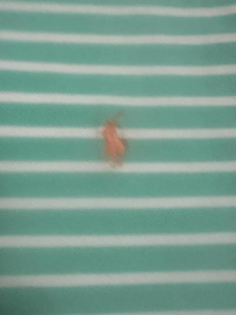 Ralph Lauren men’s green striped polo shirt Size L #preppy #golfwear